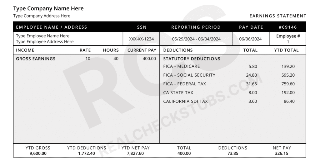 Real check stubs paystub template