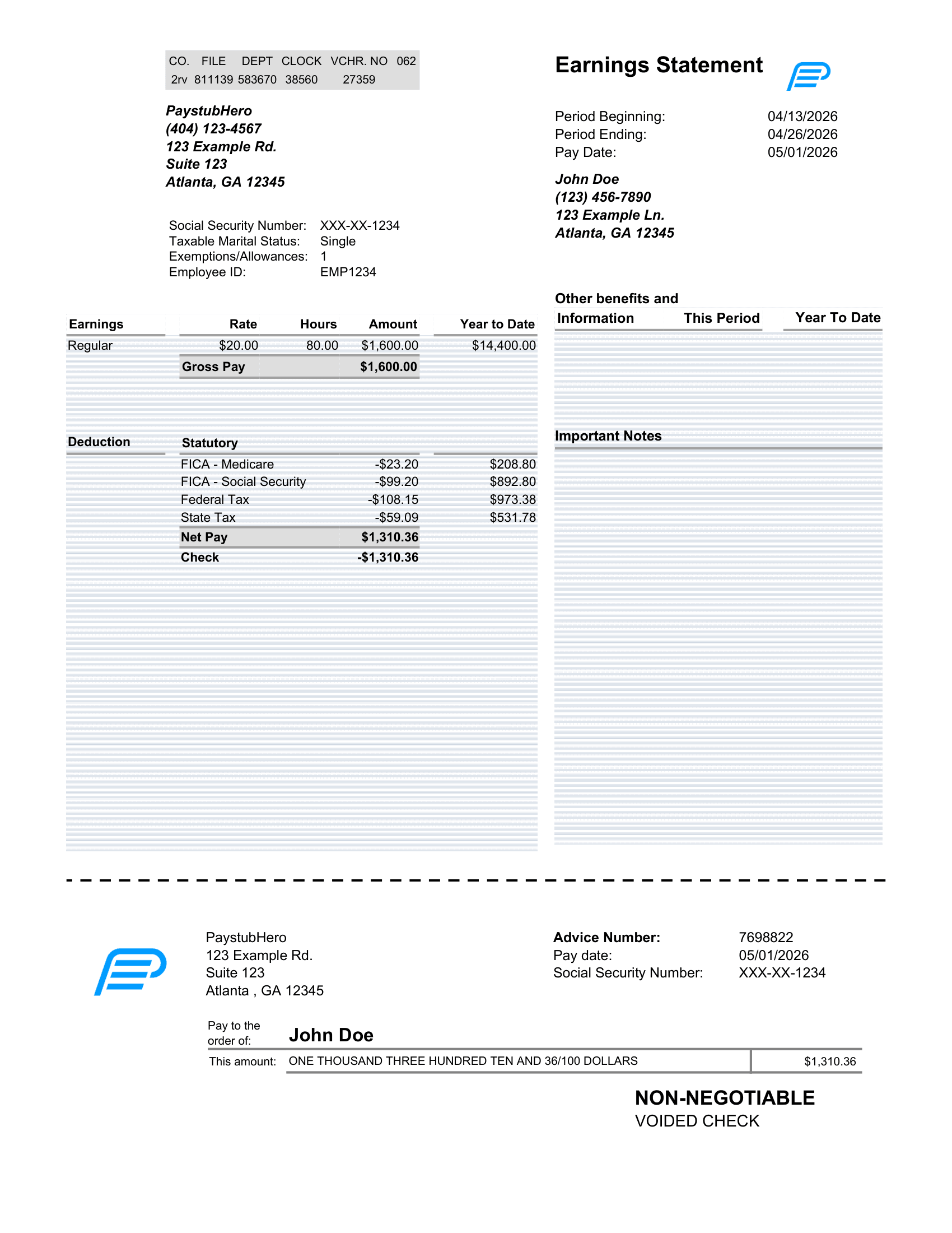 Paystub Template 1 - PaystubHero-1 (1)