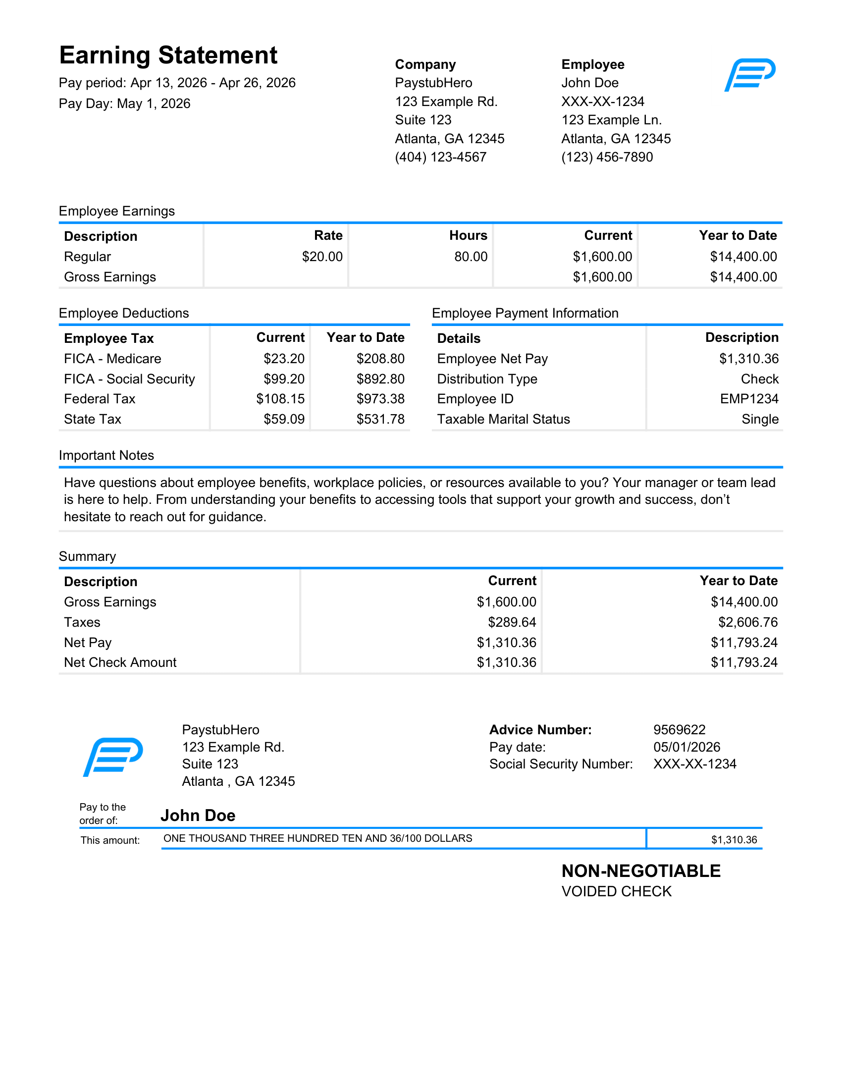 Paystub Template 2 - PaystubHero-1 (1)