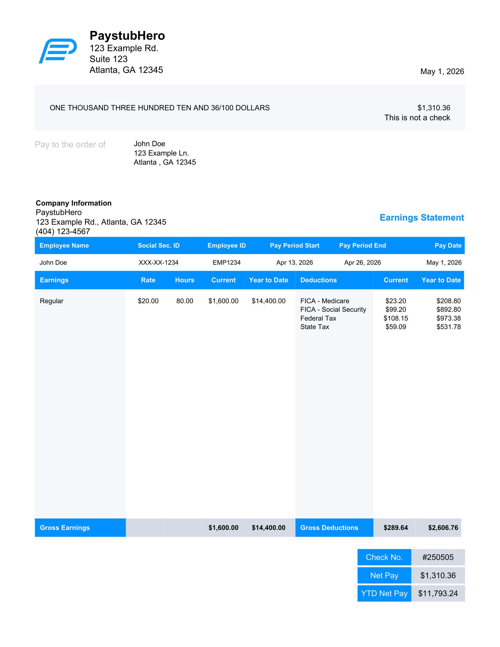 Paystub Template 5 - PaystubHero-1 (1)